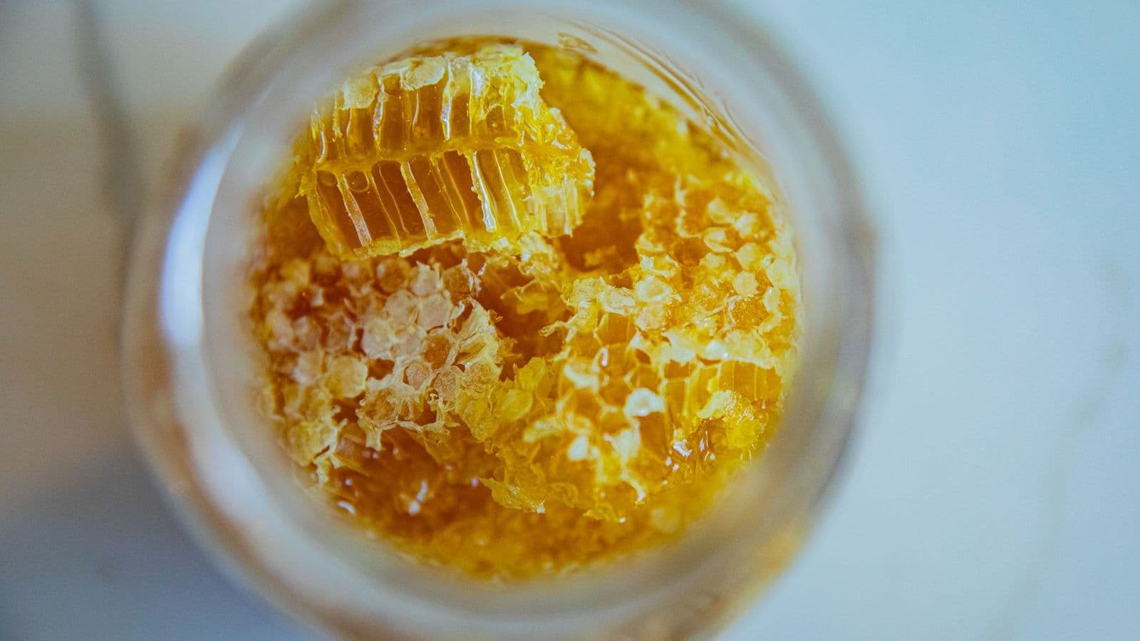 Honeycomb in a jar - Can Dogs Eat Honey? A Little, With Caveats