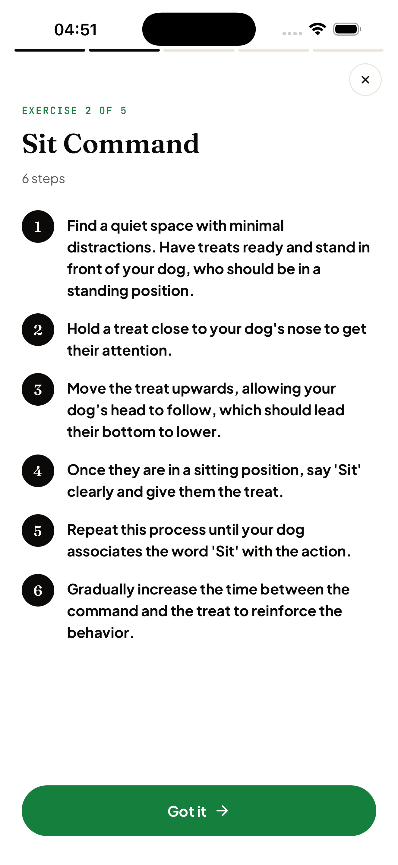 A guided training session in the TailorPup app