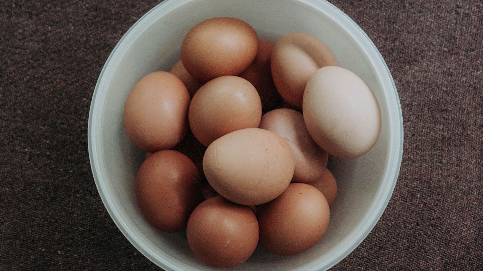 A bowl of eggs - Can Dogs Eat Eggs? Cooked Versus Raw