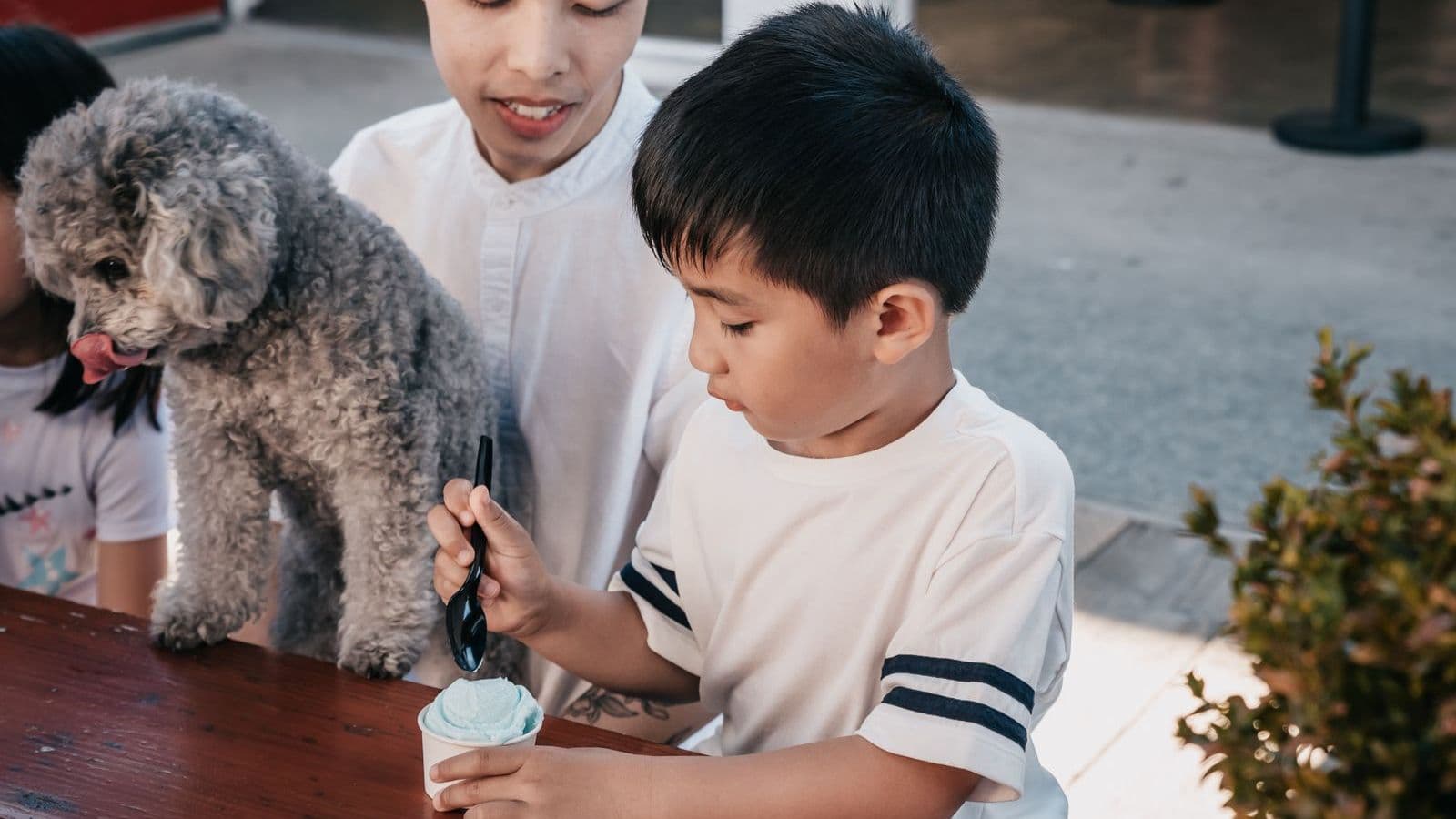 A child and a dog with an ice cream - Can Dogs Eat Ice Cream? Lactose and Hidden Dangers