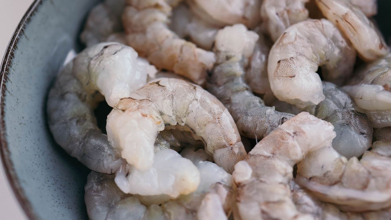 Peeled shrimp in a bowl - Can Dogs Eat Shrimp? Prep Rules and Allergies