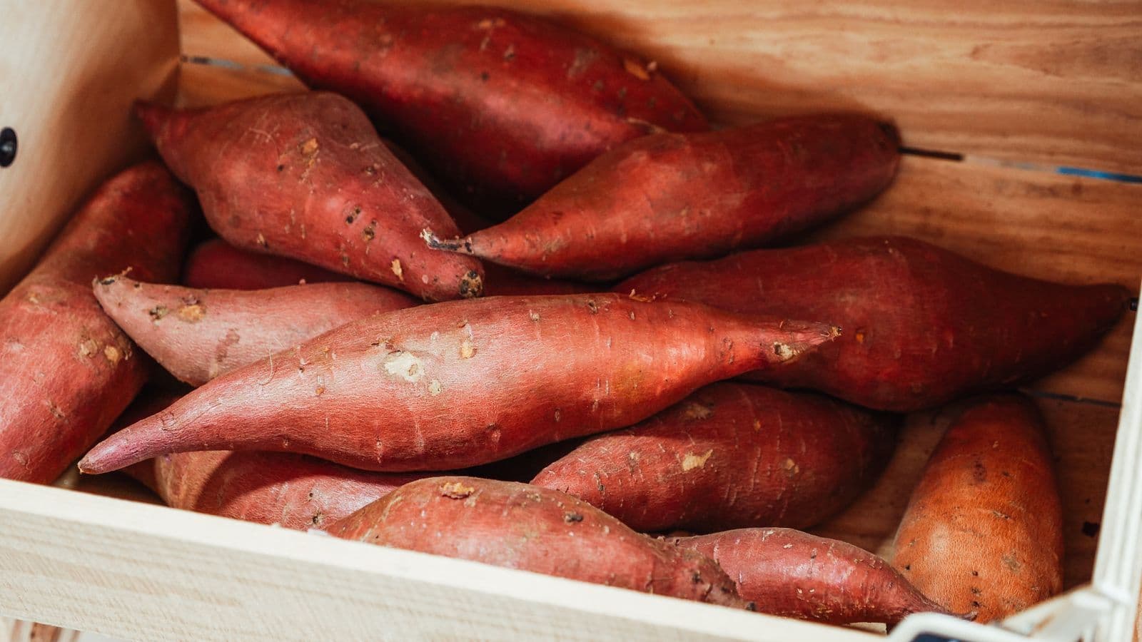 Sweet potatoes in a crate - Can Dogs Eat Sweet Potato? Cooked and Plain