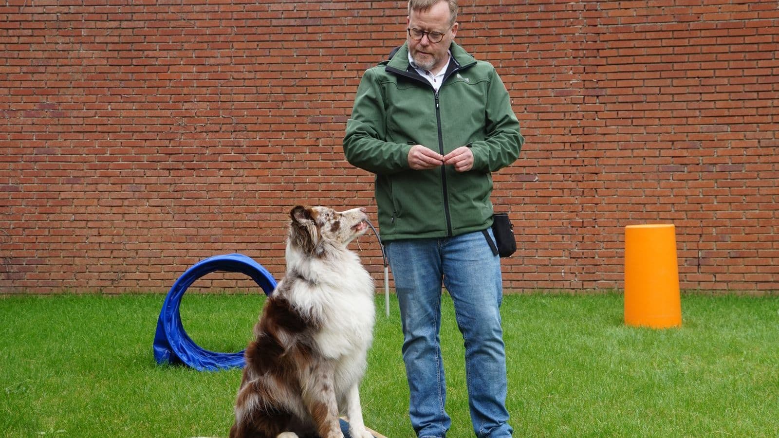A man training a dog with cones and a hoop - How Long Does It Take to Train a Dog or Puppy?