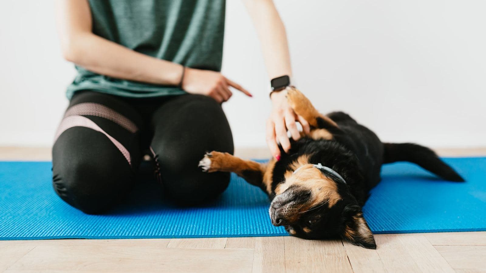 A woman on a yoga mat stroking a dog lying beside her - How to Build a Dog Training Routine That Actually Sticks