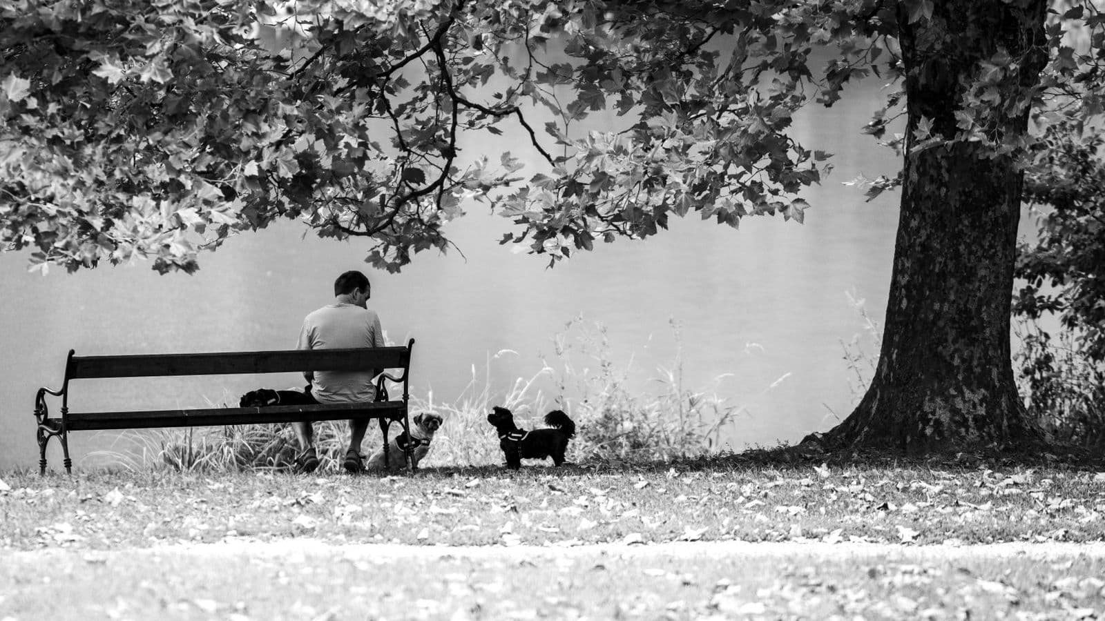 A person sitting on a bench with a dog, in black and white
