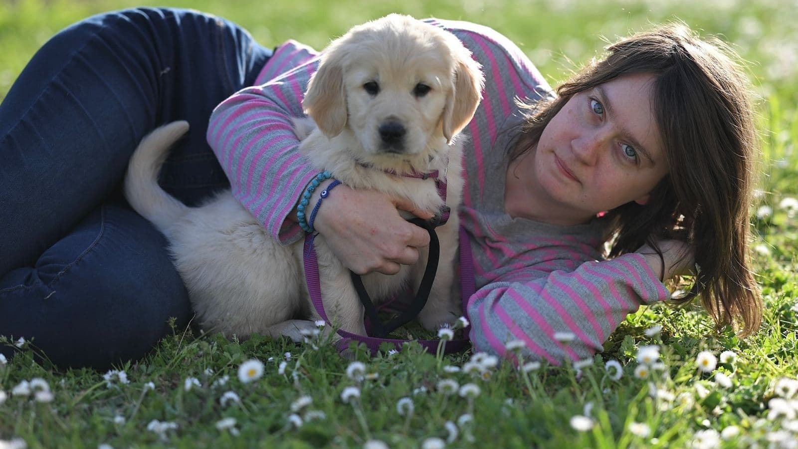 A girl lying on the grass with a golden puppy