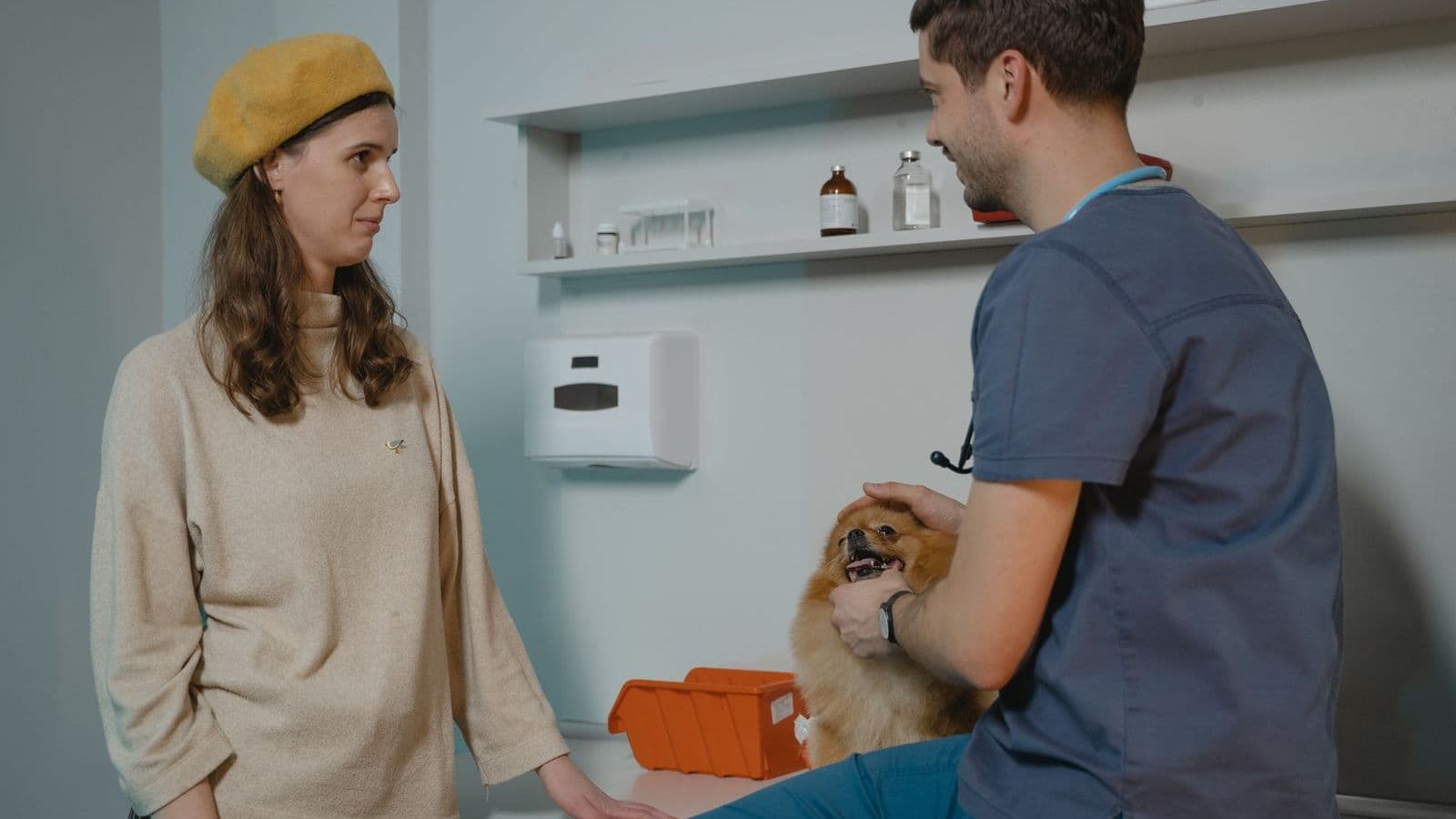A dog owner talking with a vet in a clinic